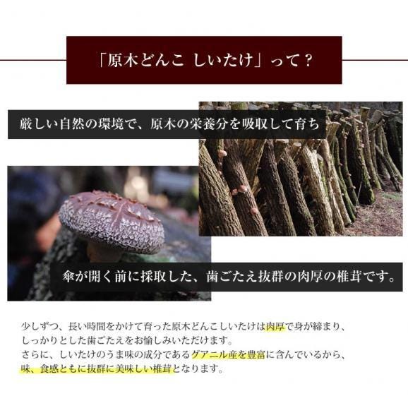  原木どんこ しいたけ 送料無料 80g 熊本 大分県産 お試し 3袋購入で1袋おまけ 代引不可 干し椎茸 乾しいたけ 椎茸04