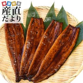 ギフトにも最適！ 鹿児島県志布志産 山田水産 霧島湧水うなぎ 長蒲焼き 大サイズ4尾セット（140g前後×4尾）送料無料 鰻師 加藤尚武さん 鰻 ウナギ クール冷凍便 ギフト 夏ギフト お中元 御中元