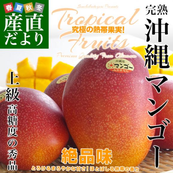 沖縄県より産地直送 JAおきなわ 完熟沖縄マンゴー 秀品 1.5キロ (4玉から5玉入り) 送料無料 まんごー アップルマンゴー　ギフト 夏ギフト お中元 御中元02