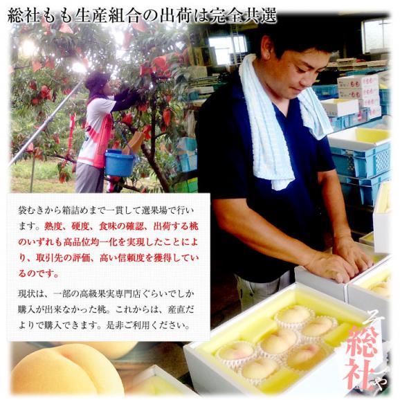 岡山県から産地直送 JA晴れの国岡山 総社もも生産部会 総社(そうじゃ)の桃 黄ららのきわみ 青秀以上 2キロ前後 (6玉から8玉)送料無料 もも モモ05