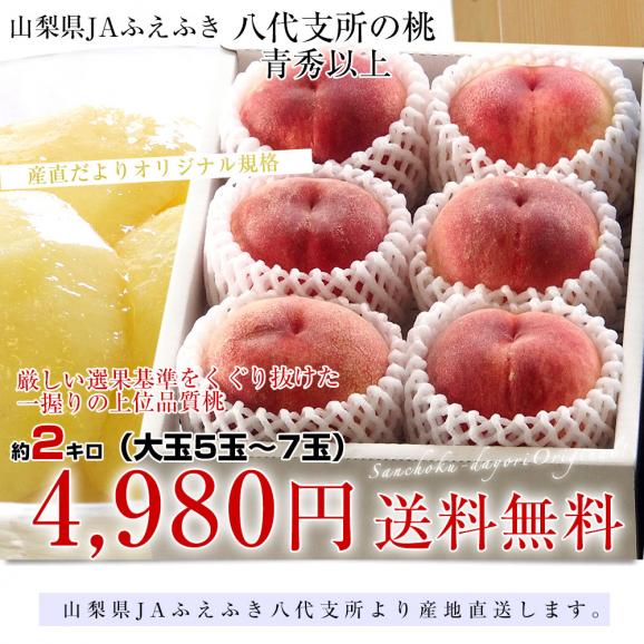 山梨県より産地直送 JAふえふき 八代支所の桃 青秀品 大玉約2キロ 化粧箱（大玉5玉から7玉）送料無料 もも モモ ギフト 夏ギフト お中元 御中元03