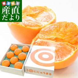 佐賀県より産地直送　 JAグループ佐賀 にじゅうまる 3キロ化粧箱 （8玉から15玉) 送料無料 柑橘 二重丸 中晩柑 みかんfrom九州