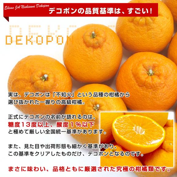 愛媛県直 JAにしうわ 貯蔵デコポン  2LからLサイズ 3キロ（12玉から15玉前後）送料無料 でこぽん 柑橘 オレンジ 西宇和04