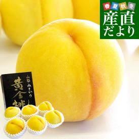 山梨県より産地直送 JAふえふき 御坂支所 黄金桃 化粧箱 約2キロ（6玉から7玉）送料無料 桃 もも ピーチ モモ 黄桃 黒箱