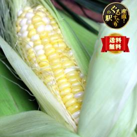 【全国クール便送料無料】“極甘の傑作”宮崎県産 超高糖度スーパースイートコーン「ドルチェドリーム」4.5kg（10~13本）