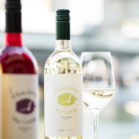 (Yokohama) Premium tour with cooking experience Yokohama Winery
▶ Details & Booking
(Photo: Viator)