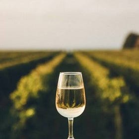 (Yamanashi) Koshu Winery Private Tour with Licensed Guide & Vehicle
▶ Details & Booking
(Photo: Viator)