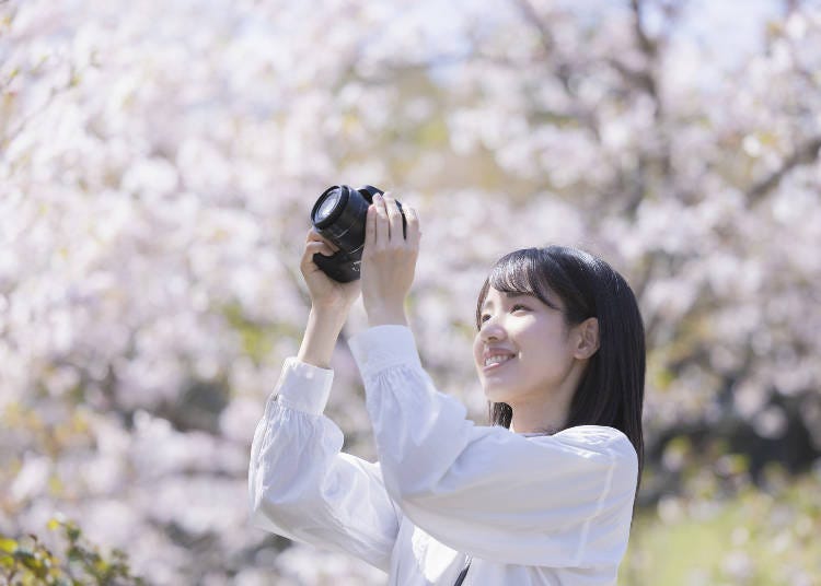 画像素材：PIXTA