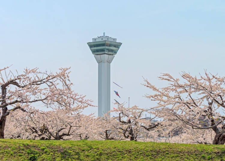 ■第二天 在早市边走边吃与五稜郭散步!