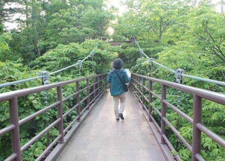 Himenuma is on the other side of the suspension bridge