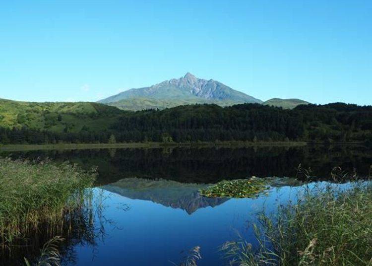 This is the spectacular view when the weather is nice! (photo provided by Rishiri Fuji-cho Tourism Association).