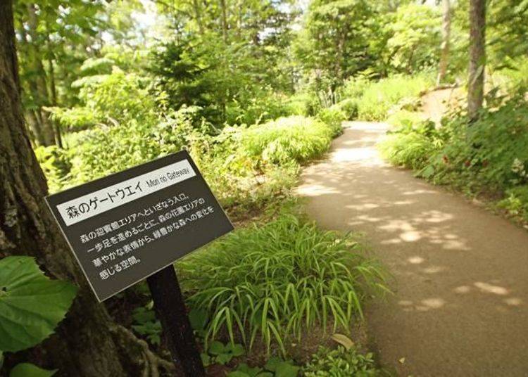 森林迎宾馆的入口处有一个「MORINO GATE WAY(森林的出入口)」的告示牌。