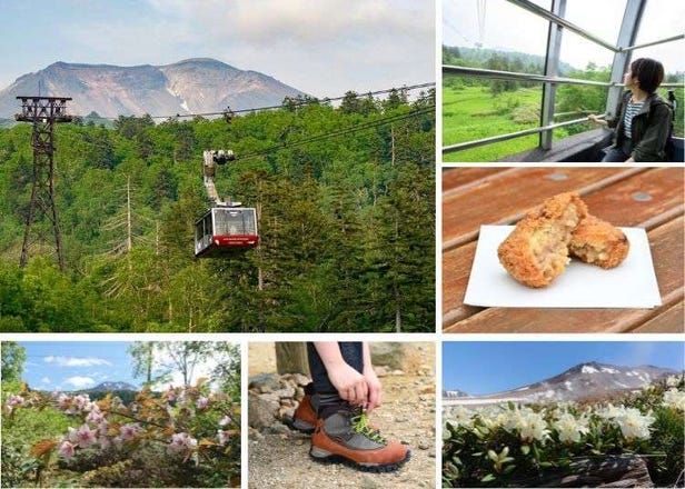 Touch the Sky: Enjoy Seasonal Escapes on the Asahidake Ropeway (Hokkaido)