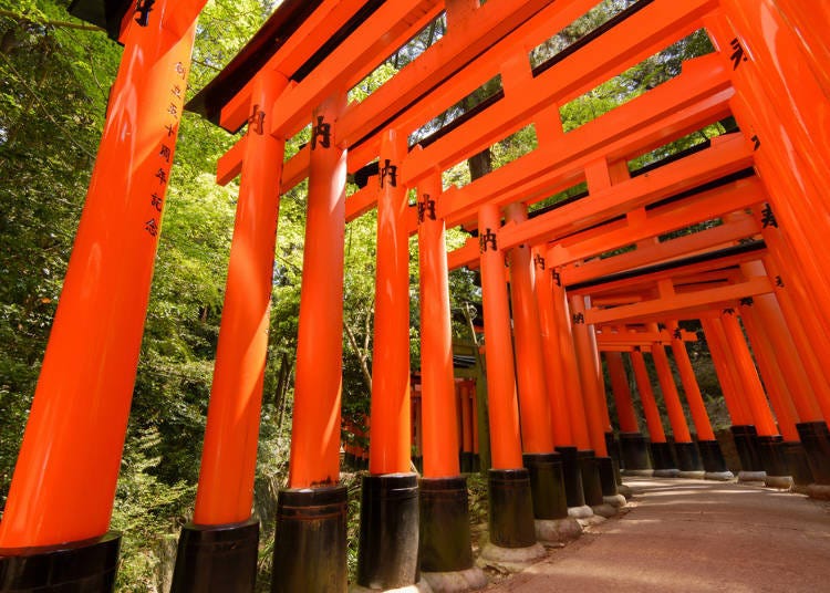 京都必去①伏见稻荷大社