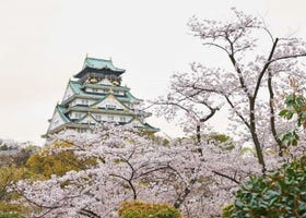 Kansai Cherry Blossoms Guide: 8 Gorgeous Places To See Sakura in Osaka, Kyoto and Nara (2025)