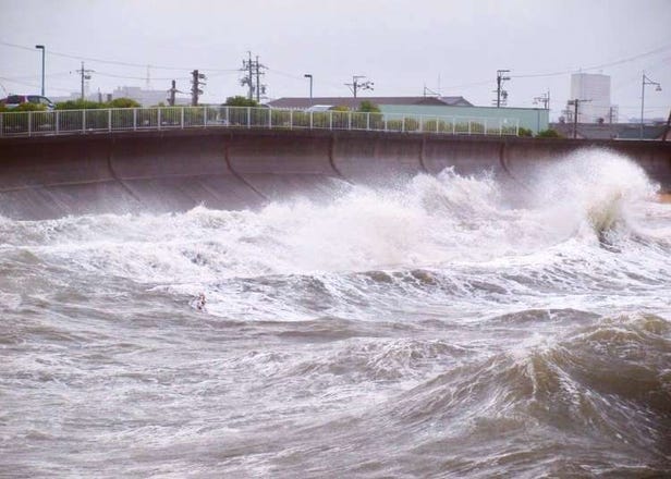 Earthquake in Osaka? Typhoon? What To Do If Disaster Strikes During Your Stay