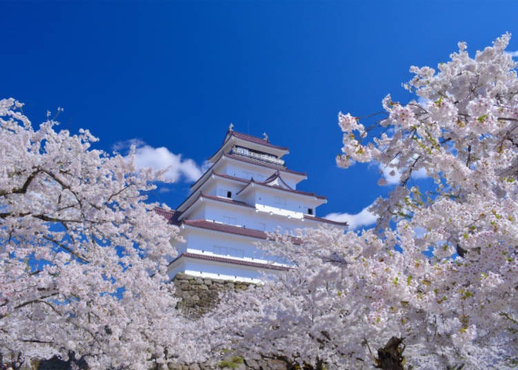 1）鶴ヶ城さくらまつり（福島県）