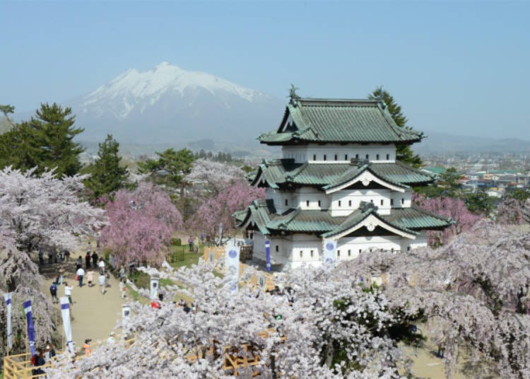 10)弘前樱花祭(青森县)