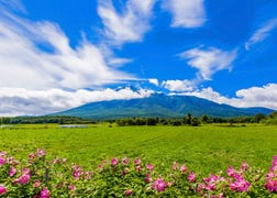 盛冈・平泉・八幡平的概要．历史