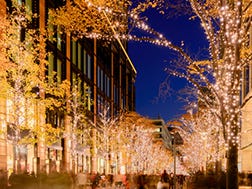 11月上旬～2月中旬　丸之内Illumination