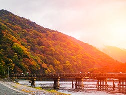 岚山、太秦的概要.历史