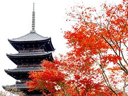 东寺周边区域