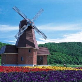 Kamiyubetsu Tulip Park