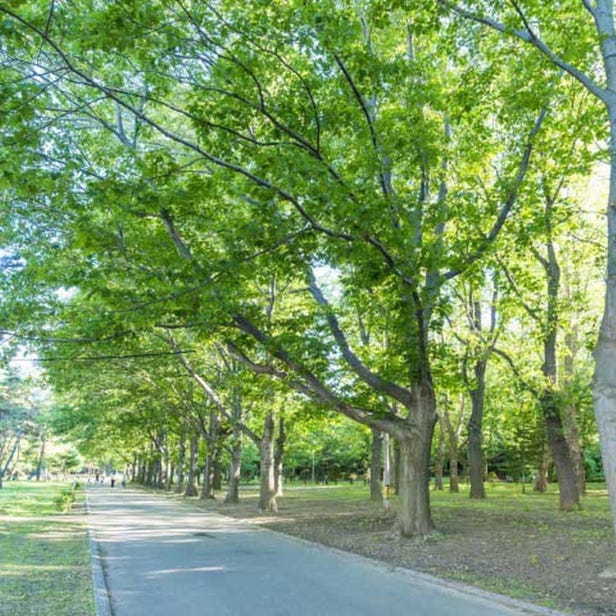 MARUYAMA PARK