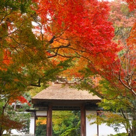 安乐寺