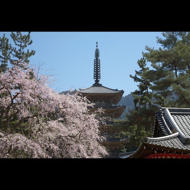 Daigo-ji Temple