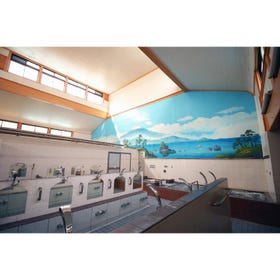 Nakanobu Onsen Matsu-no-yu
